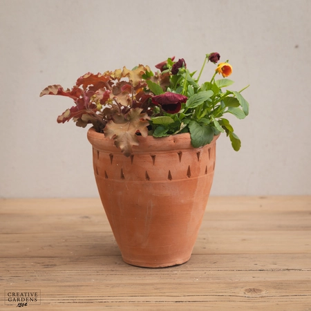 Creative Gardens Planted Container Plum & Orange - Small - image 1