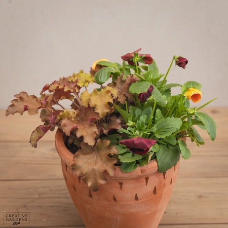 Creative Gardens Planted Container Plum & Orange - Small - image 2