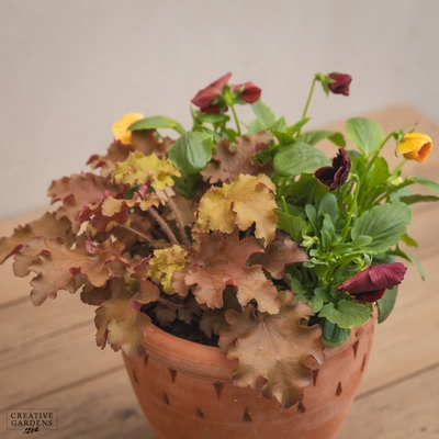 Creative Gardens Planted Container Plum & Orange - Small - image 3