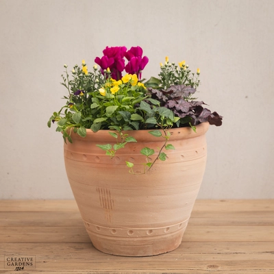 Creative Gardens Planted Container Purple & Yellow - Large - image 1
