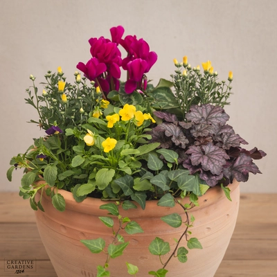 Creative Gardens Planted Container Purple & Yellow - Large - image 2