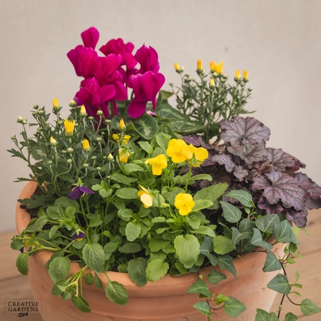 Creative Gardens Planted Container Purple & Yellow - Large - image 3