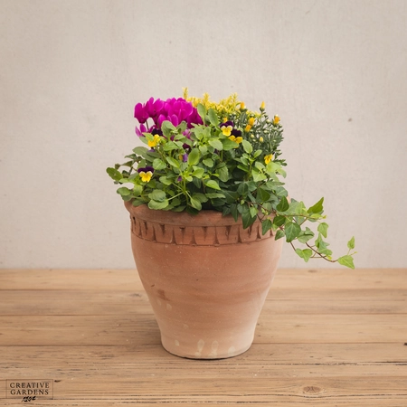 Creative Gardens Planted Container Purple & Yellow - Medium - image 1