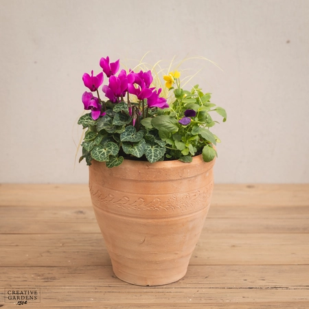 Creative Gardens Planted Container Purple & Yellow - Small - image 1
