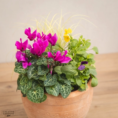 Creative Gardens Planted Container Purple & Yellow - Small - image 2