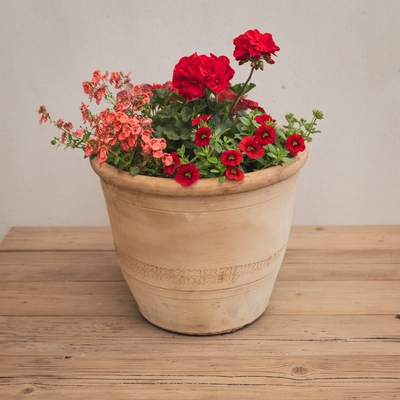 Creative Gardens Planted Container Reds and Peaches - Large