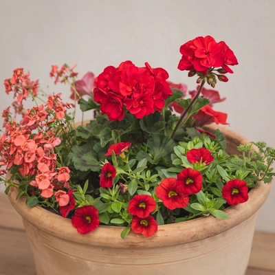 Creative Gardens Planted Container Reds and Peaches - Large