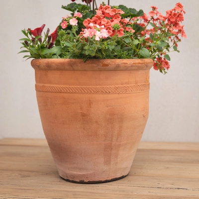 Creative Gardens Planted Container Reds and Peaches - Medium