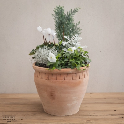 Creative Gardens Planted Container Whites - Large