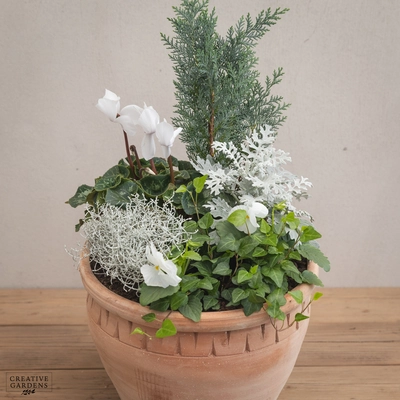 Creative Gardens Planted Container Whites - Large