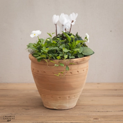 Creative Gardens Planted Container Whites - Medium
