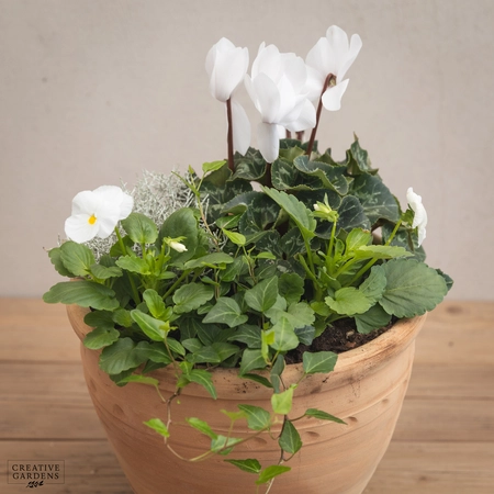 Creative Gardens Planted Container Whites - Medium