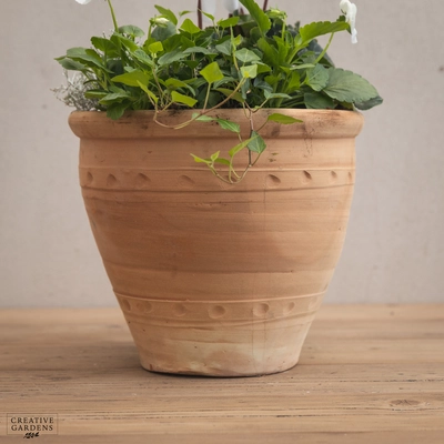 Creative Gardens Planted Container Whites - Medium