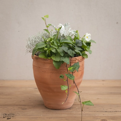 Creative Gardens Planted Container Whites - Small