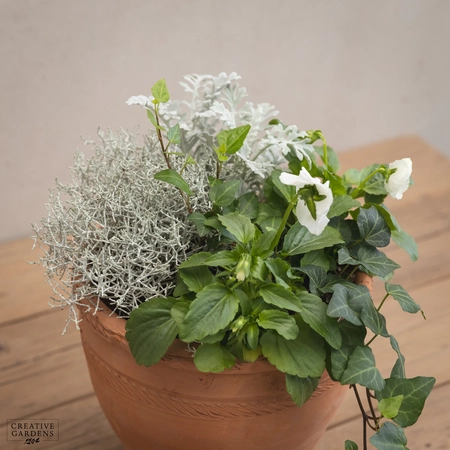 Creative Gardens Planted Container Whites - Small