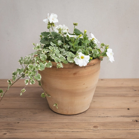 Creative Gardens Planted Container Whites - Large