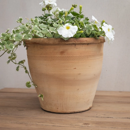 Creative Gardens Planted Container Whites - Large