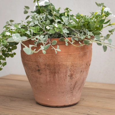 Creative Gardens Planted Container Whites - Medium