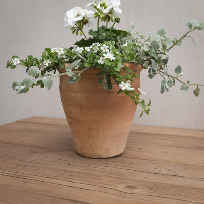 Creative Gardens Planted Container Whites - Small