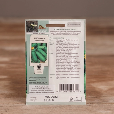 Cucumber Beth Alpha - image 2