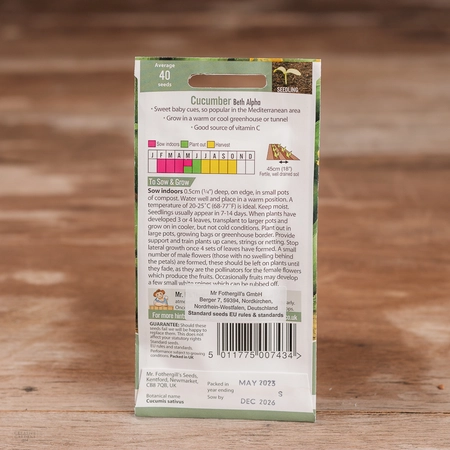 Cucumber Beth Alpha - image 2