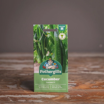 Cucumber Carmen F1 - image 1