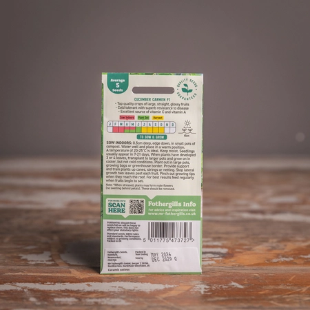 Cucumber Carmen F1 - image 2