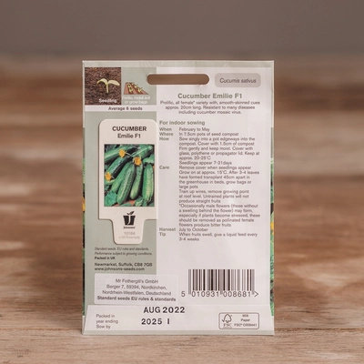 Cucumber Emilie F1 - image 2