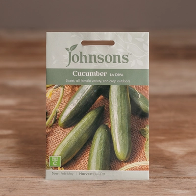 Cucumber La Diva