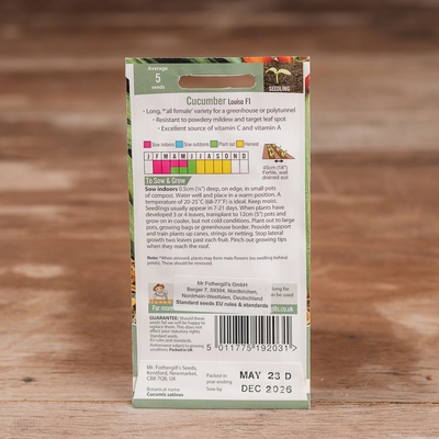 Cucumber Louisa F1 - image 2