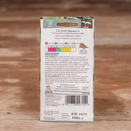 Cucumber Marketmore 76 - image 2