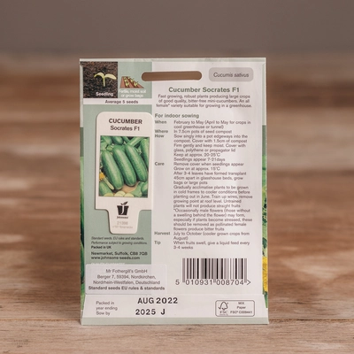 Cucumber Socrates F1 - image 2