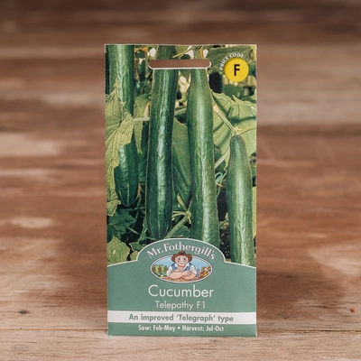Cucumber Telepathy F1 - image 1