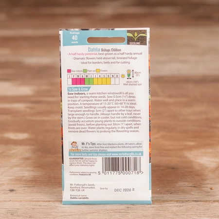 Dahlia Bishops Children - image 2