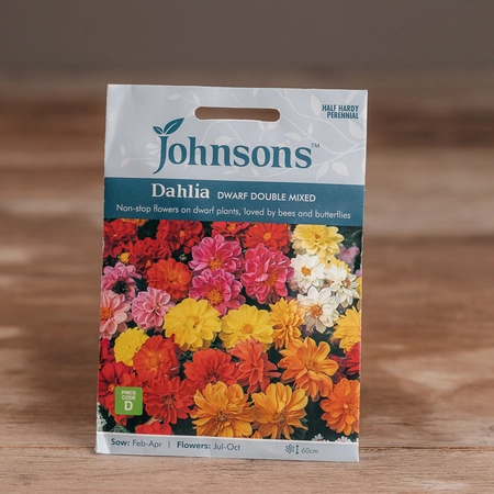 Dahlia Dwarf Double Mix - image 1