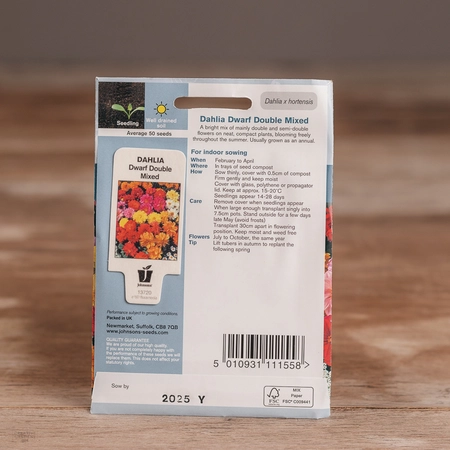 Dahlia Dwarf Double Mix - image 2