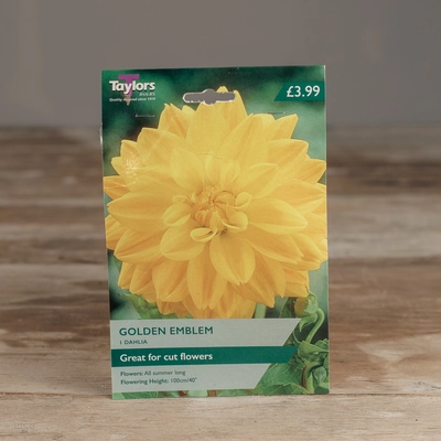 Dahlia Golden Emblem