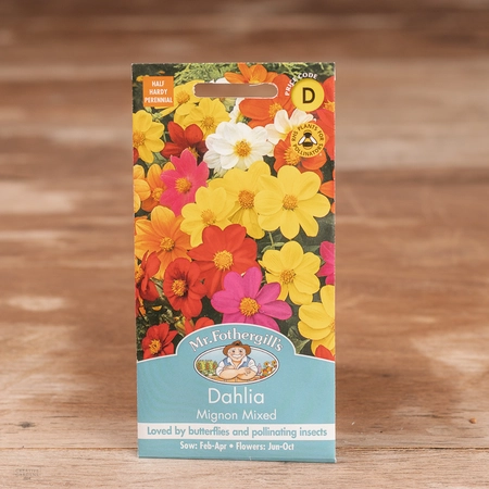 Dahlia Mignon Mix - image 1