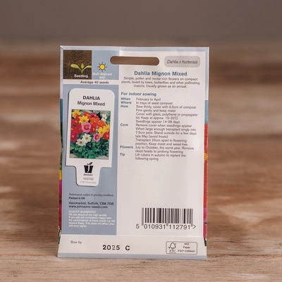 Dahlia Mignon Mix - image 2