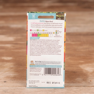 Dahlia Mignon Mix - image 2