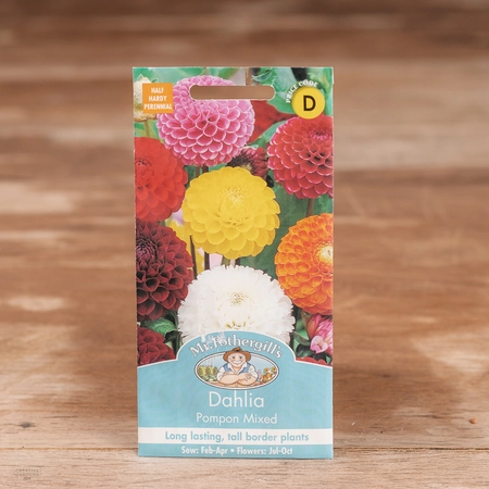 Dahlia Pompon Mix - image 1