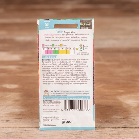 Dahlia Pompon Mix - image 2