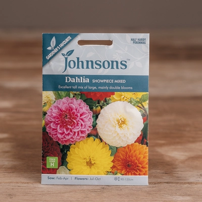 Dahlia Showpiece Mix - image 1