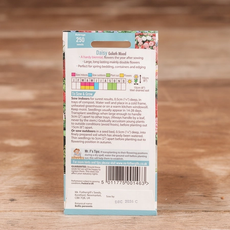 Daisy Goliath Mix - image 2