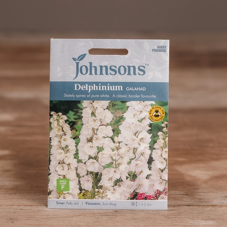 Delphinium Galahad - image 1