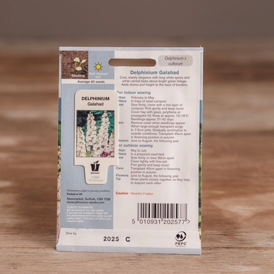 Delphinium Galahad - image 2