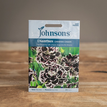 Dianthus Chinensis Chianti - image 1