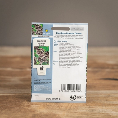 Dianthus Chinensis Chianti - image 2