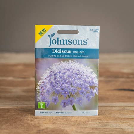 Didiscus Blue Lace - image 1