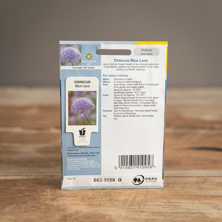 Didiscus Blue Lace - image 2